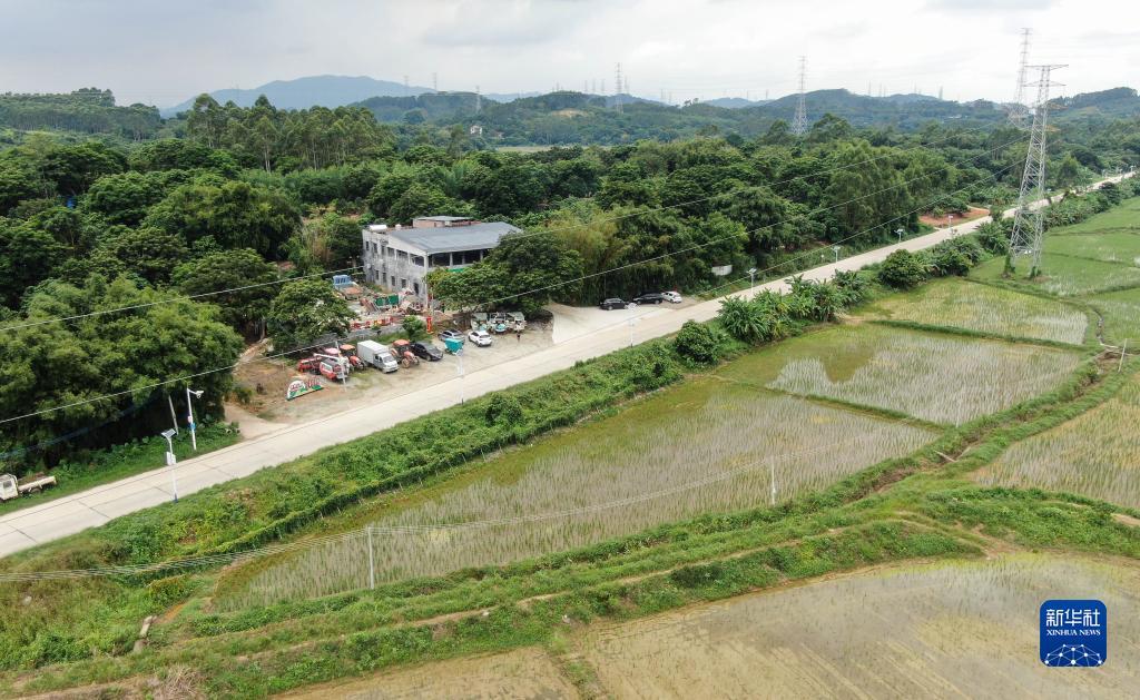 菲娱2区